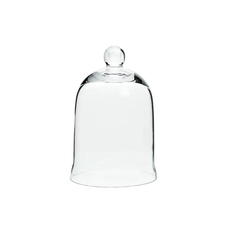Glass Bell Jar