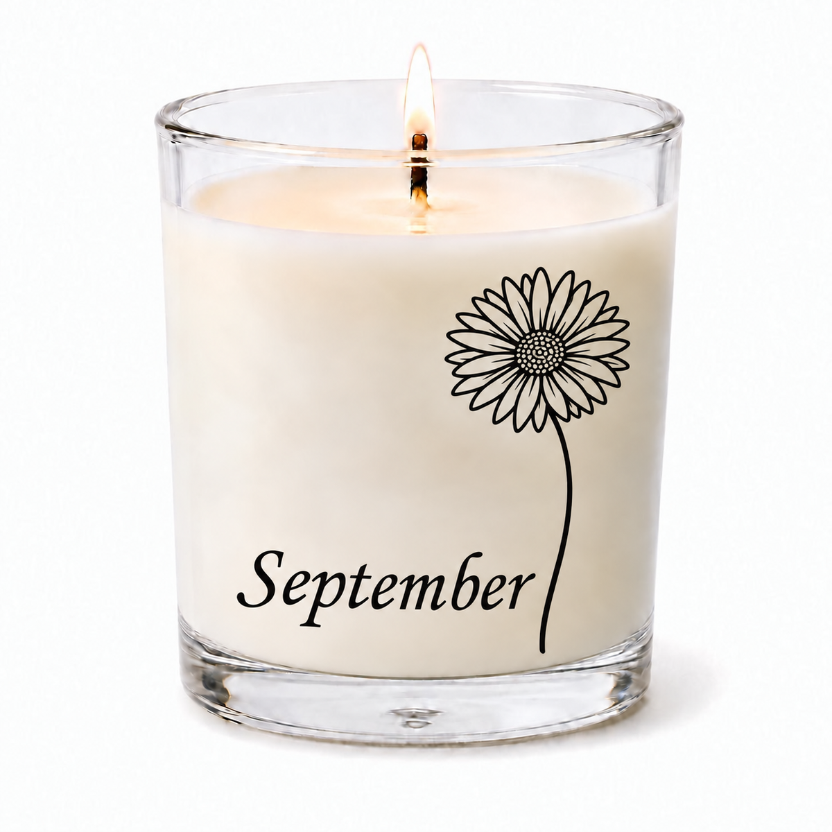 Aster - September Birth Flower